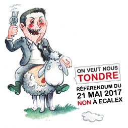 Nous ne sommes pas des moutons-ECALEX NON